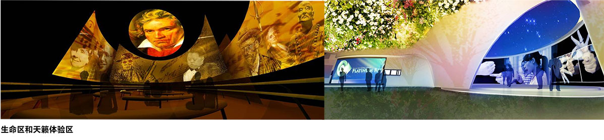 生命陽光館介紹