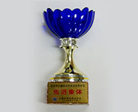 諾寶中心游泳館救生組榮獲2004年上海市先進(jìn)集體