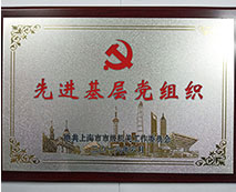 先進(jìn)基層黨組織