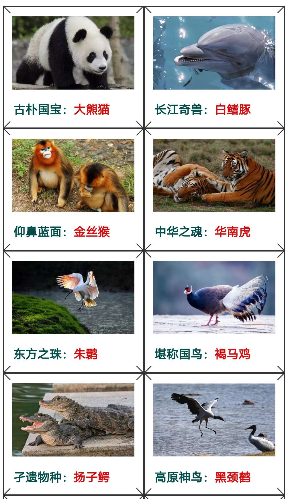 a410a393a32fa1cf3033c6715bd96dea.jpg a410a393a32fa1cf3033c6715bd96dea.jpg